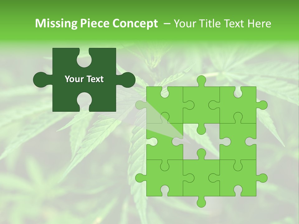 Hemp PowerPoint Template