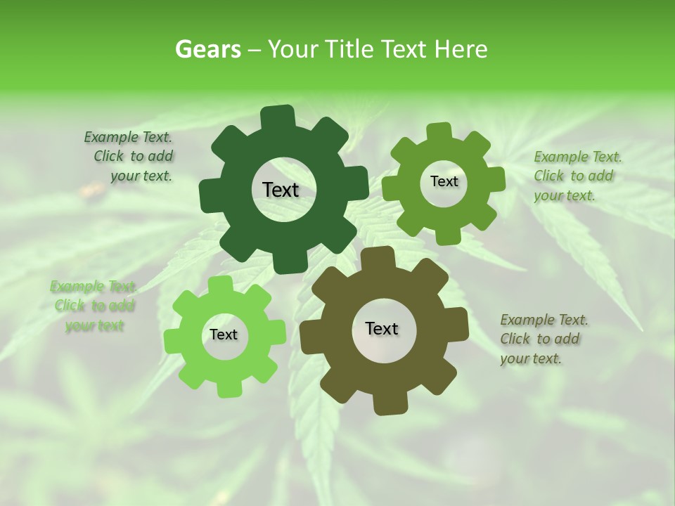 Hemp PowerPoint Template