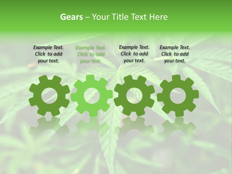 Hemp PowerPoint Template