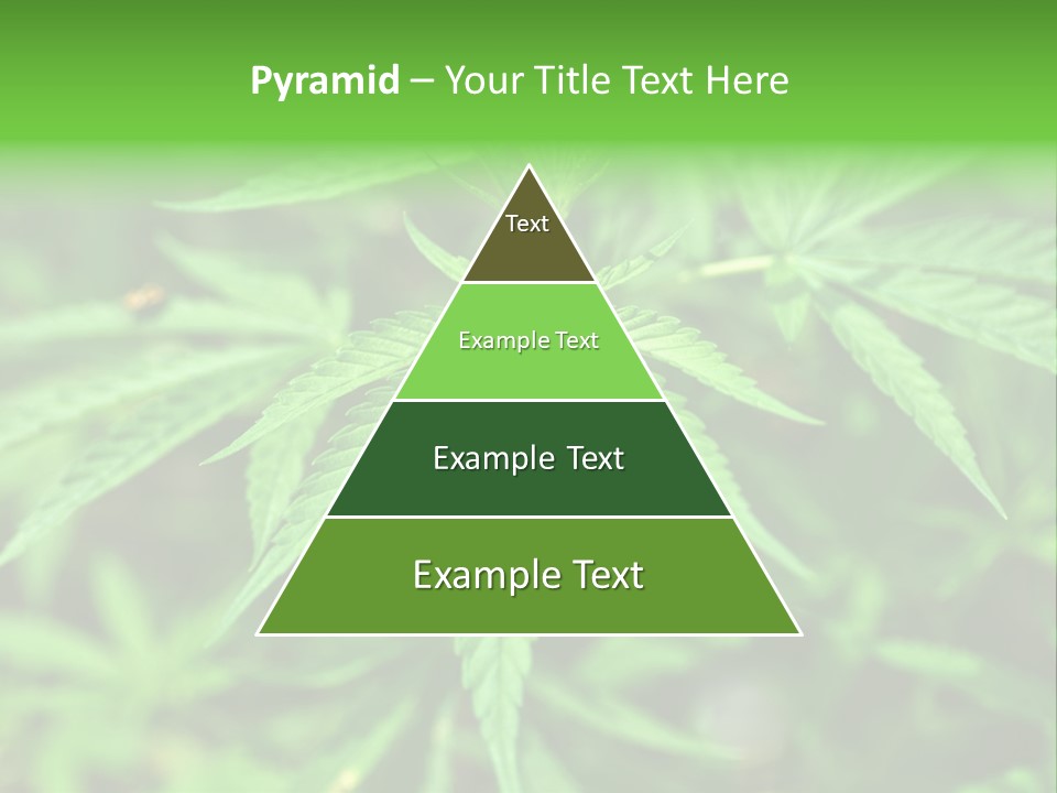 Hemp PowerPoint Template