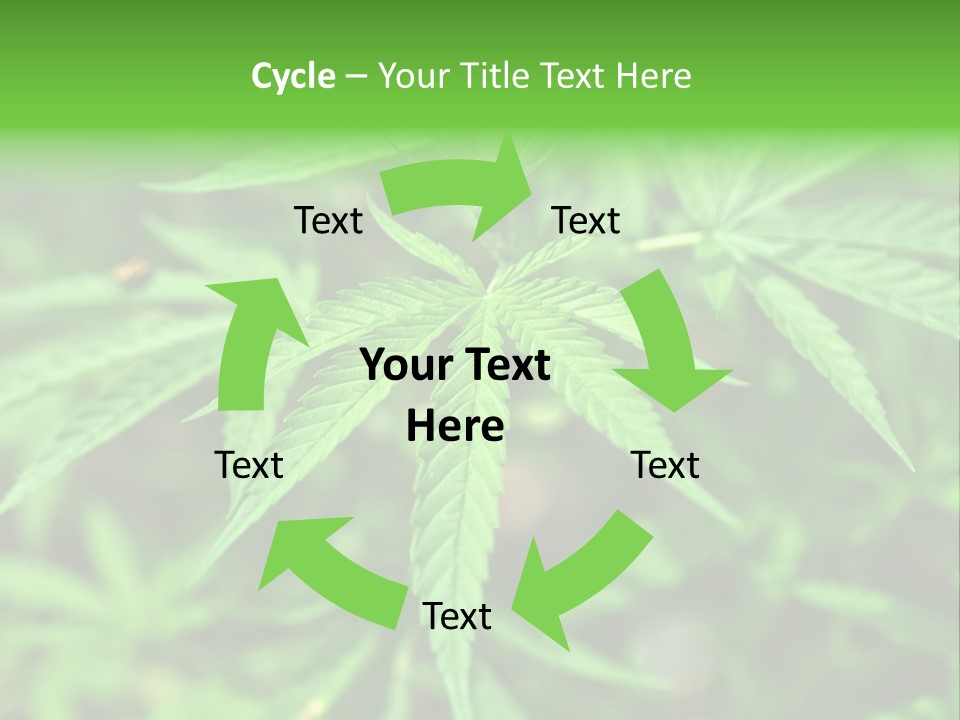 Hemp PowerPoint Template