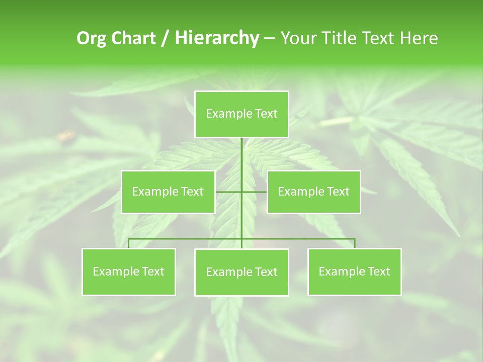 Hemp PowerPoint Template