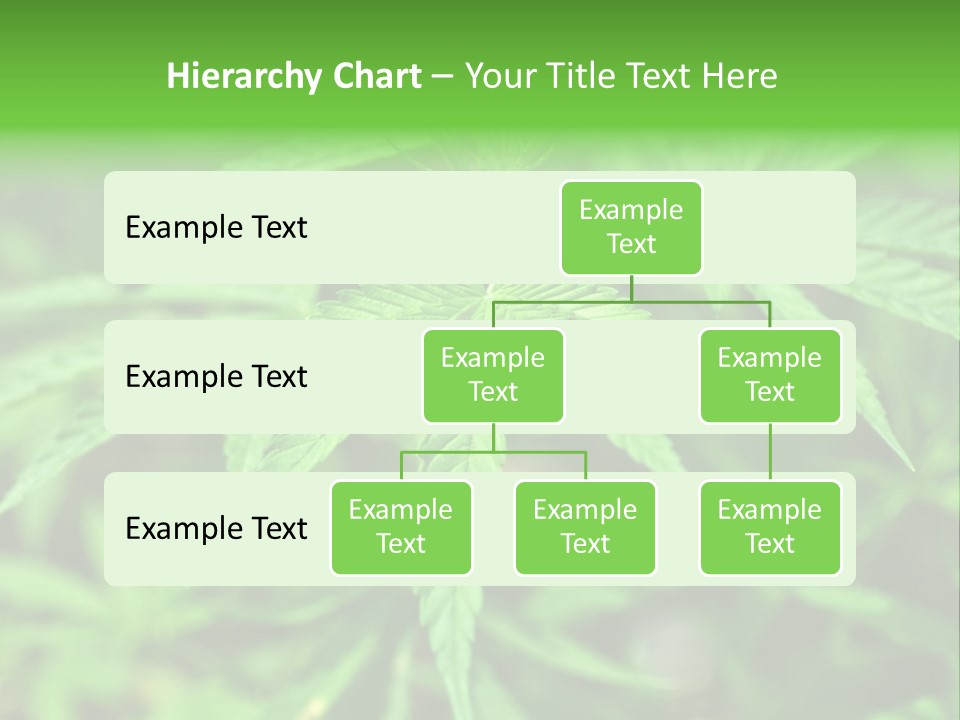 Hemp PowerPoint Template