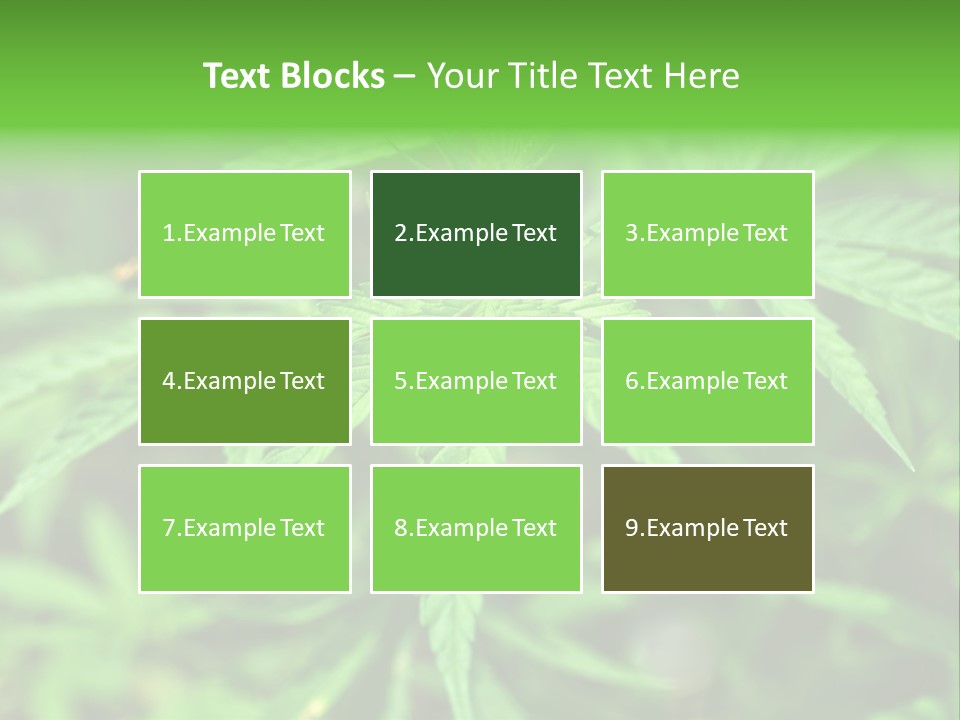 Hemp PowerPoint Template