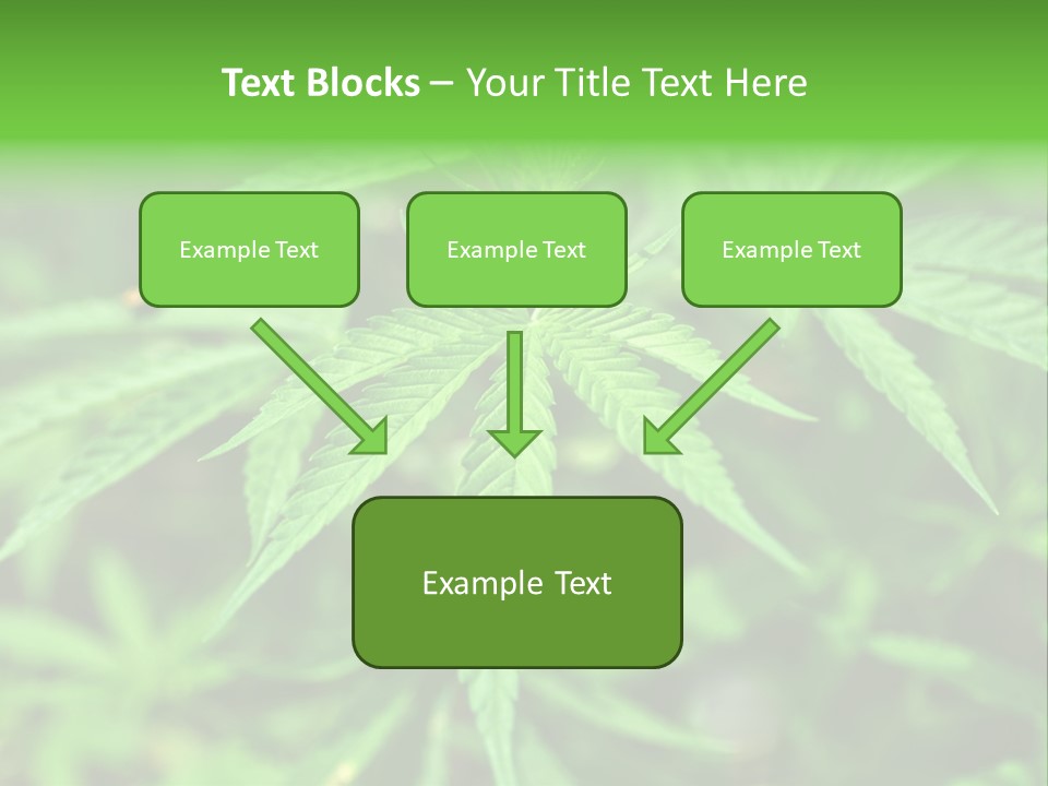 Hemp PowerPoint Template