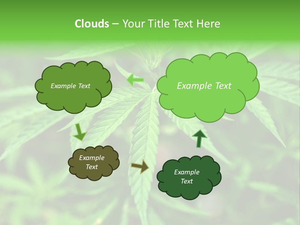 Hemp PowerPoint Template