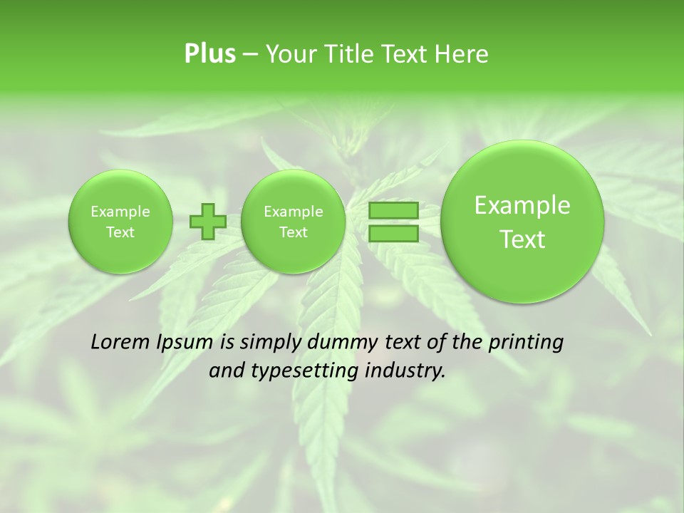 Hemp PowerPoint Template