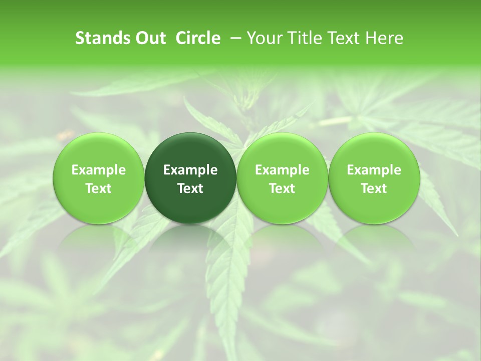 Hemp PowerPoint Template