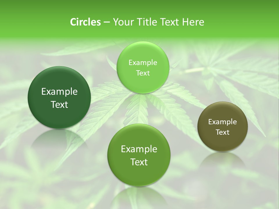 Hemp PowerPoint Template