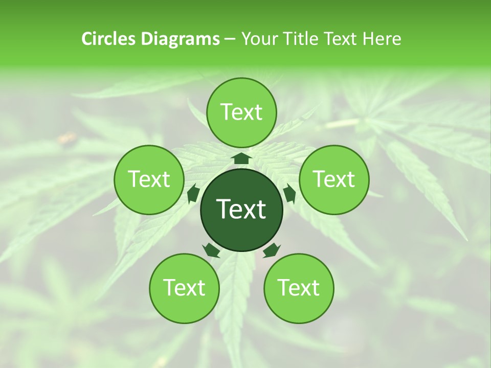 Hemp PowerPoint Template