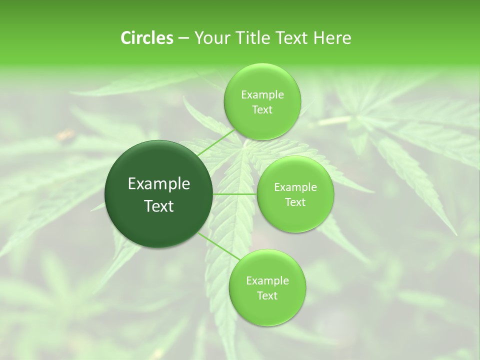 Hemp PowerPoint Template