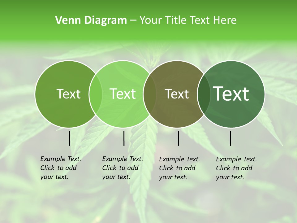 Hemp PowerPoint Template