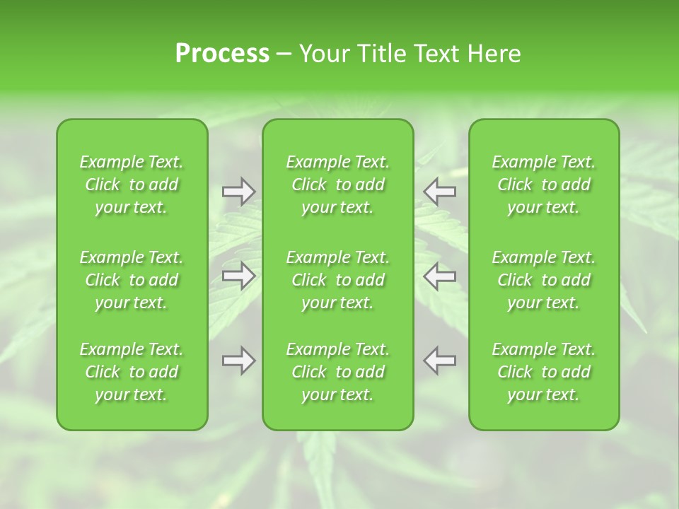 Hemp PowerPoint Template