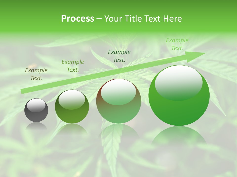 Hemp PowerPoint Template