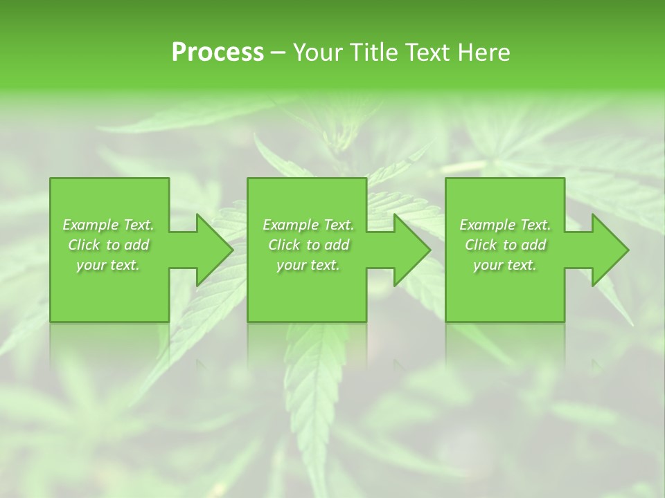 Hemp PowerPoint Template