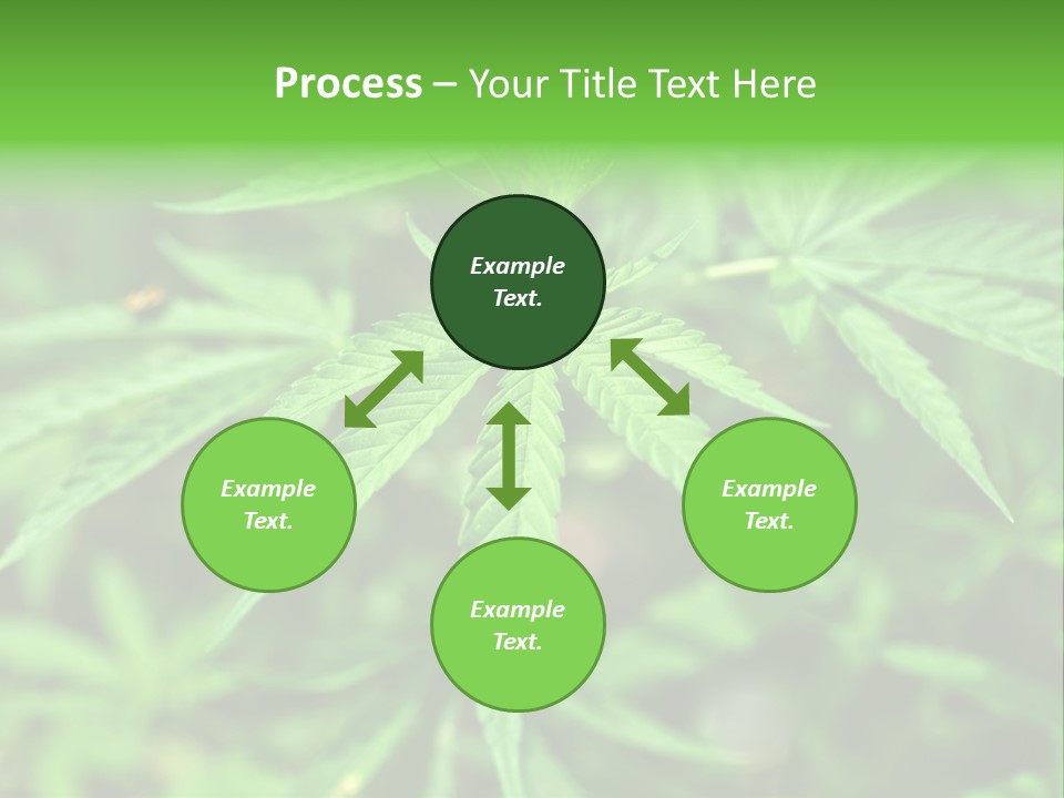 Hemp PowerPoint Template