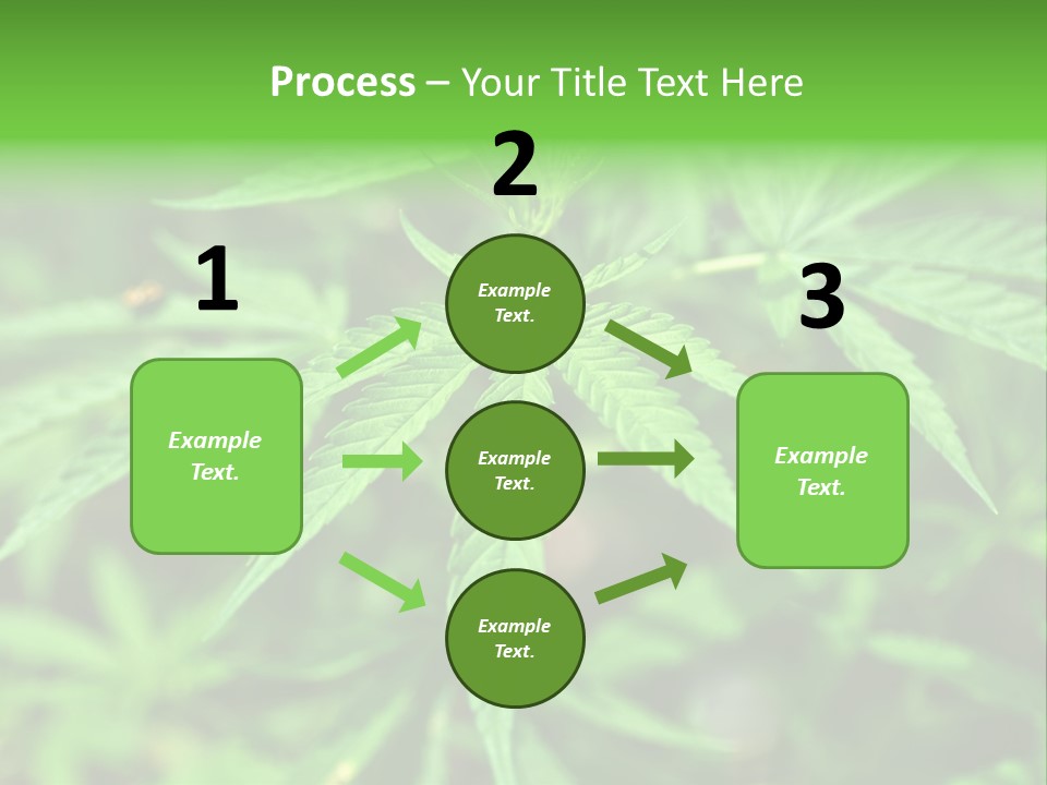 Hemp PowerPoint Template
