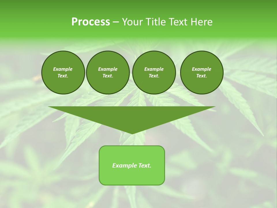 Hemp PowerPoint Template