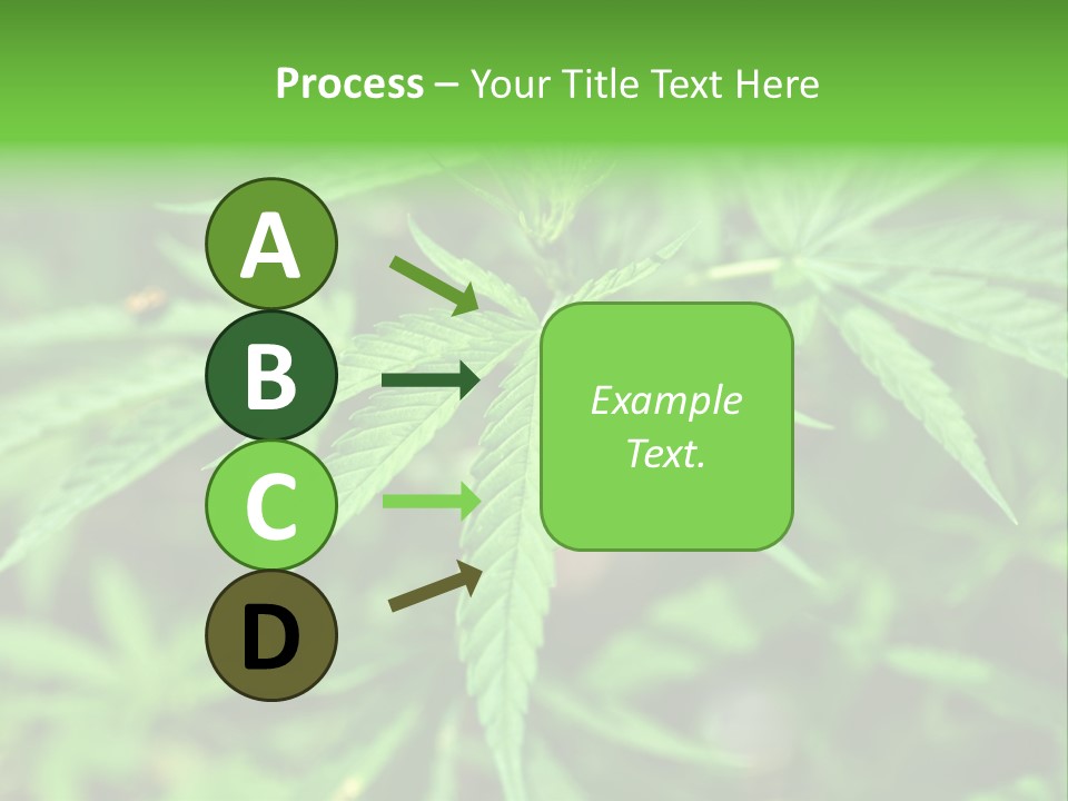 Hemp PowerPoint Template