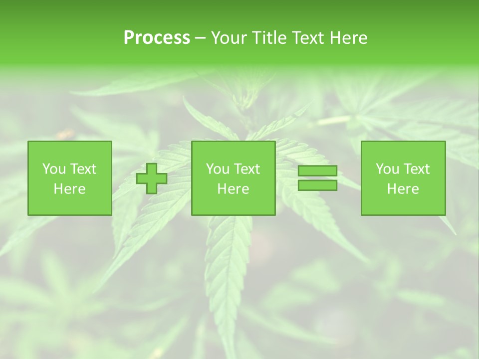 Hemp PowerPoint Template