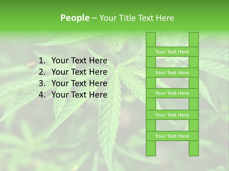 Hemp PowerPoint Template