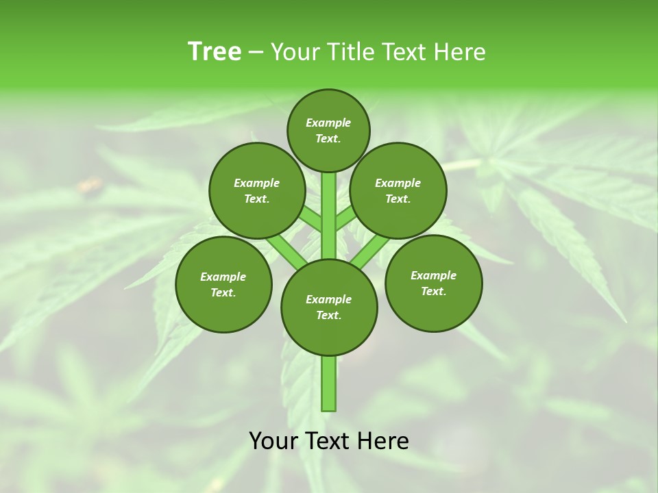 Hemp PowerPoint Template