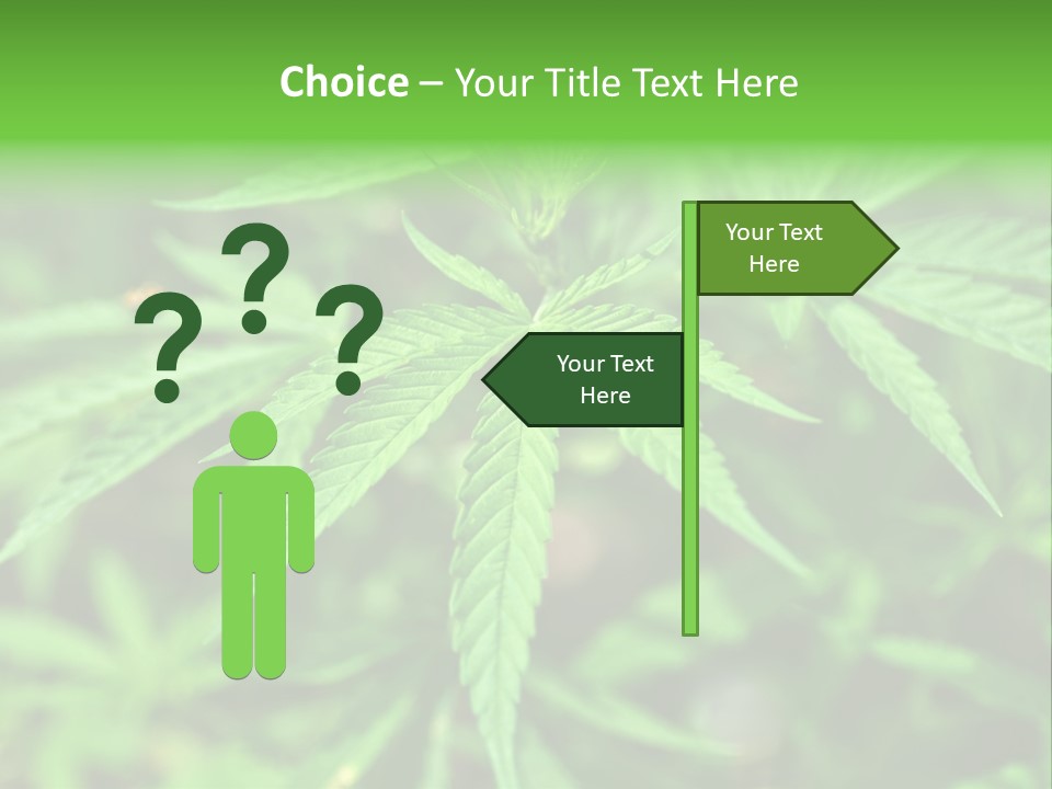 Hemp PowerPoint Template