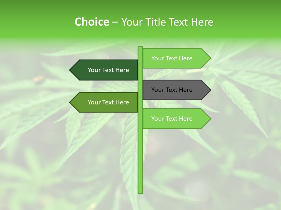 Hemp PowerPoint Template