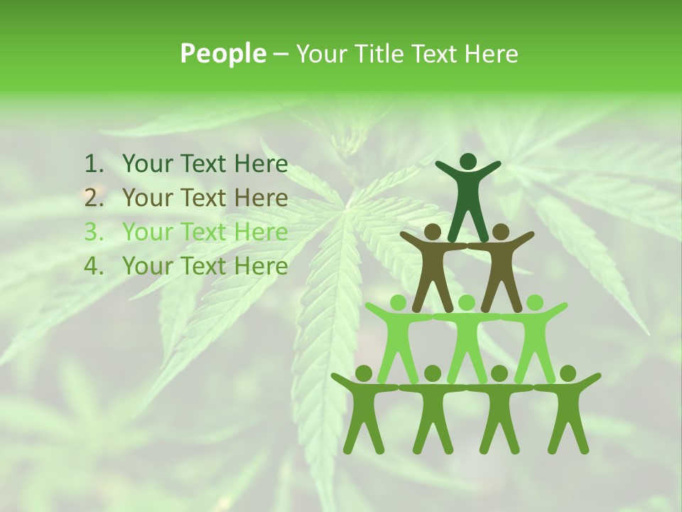 Hemp PowerPoint Template