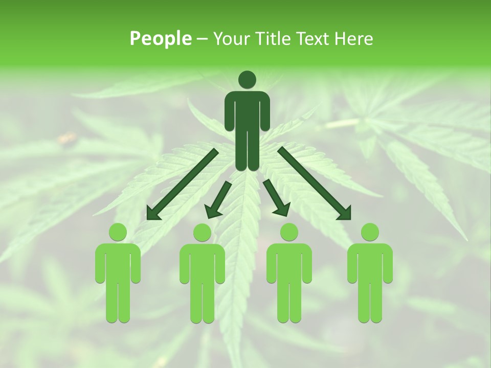 Hemp PowerPoint Template