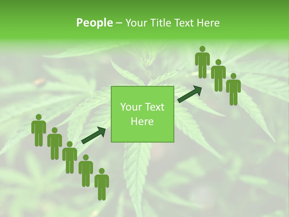 Hemp PowerPoint Template