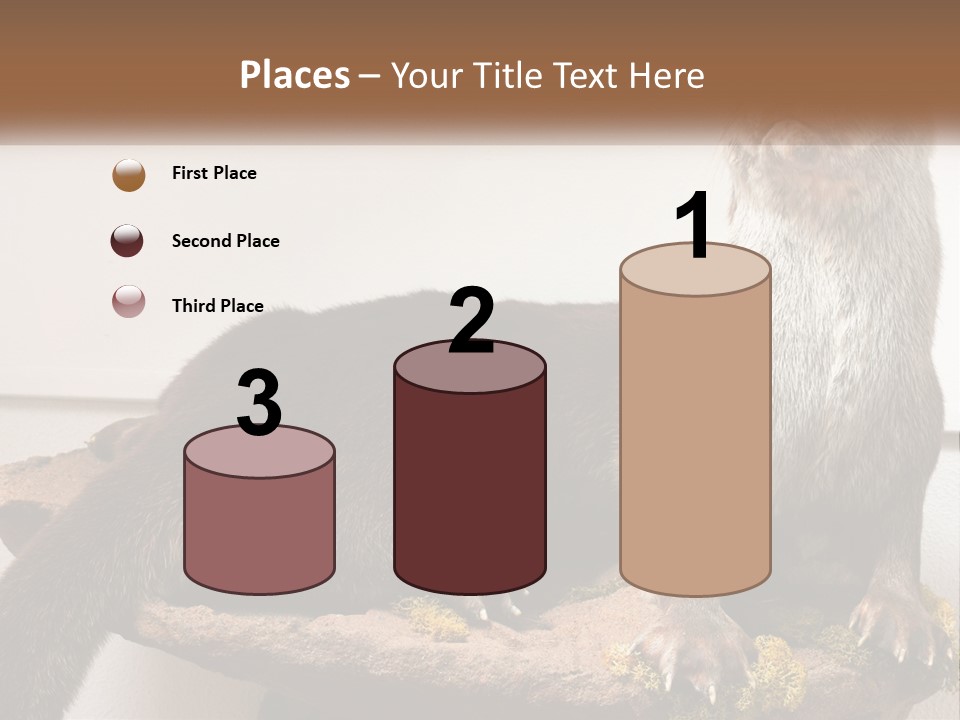 Horek PowerPoint Template