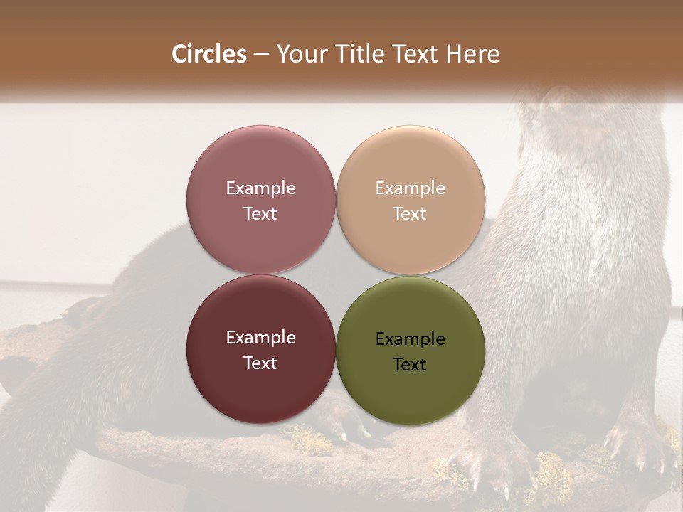 Horek PowerPoint Template