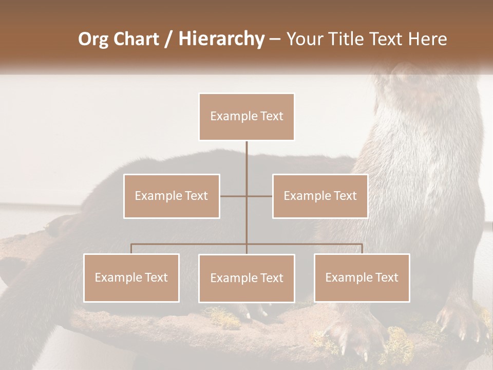 Horek PowerPoint Template