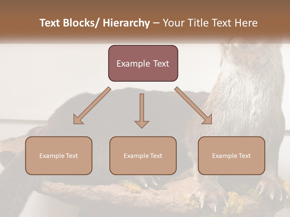 Horek PowerPoint Template