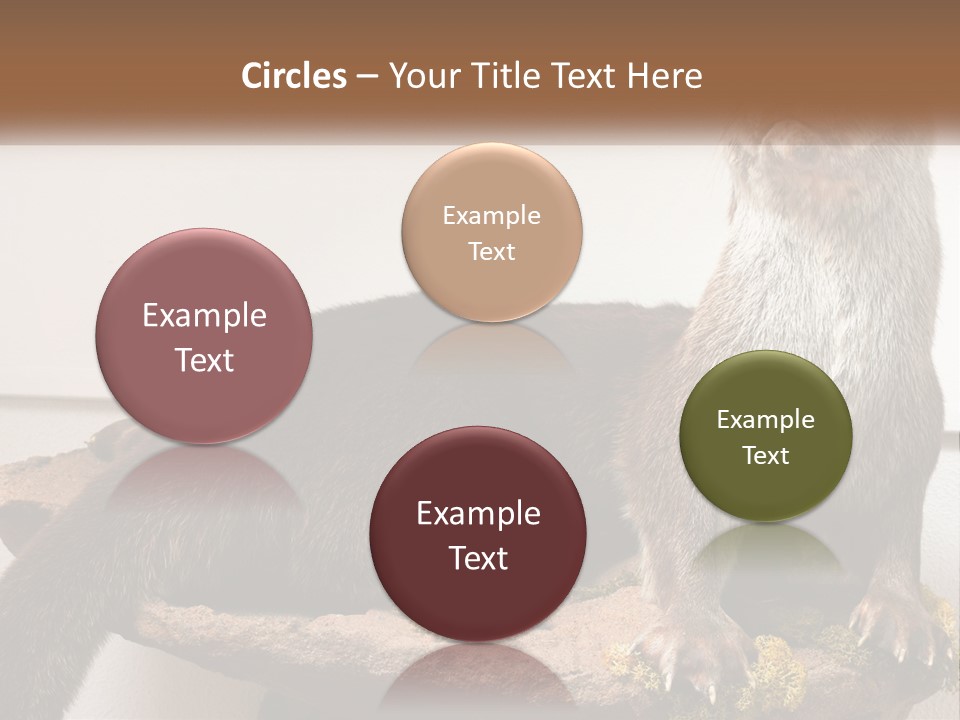 Horek PowerPoint Template