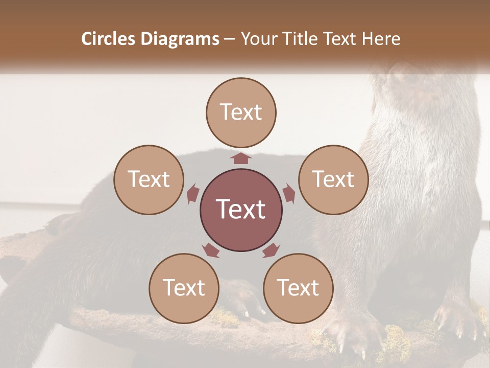 Horek PowerPoint Template