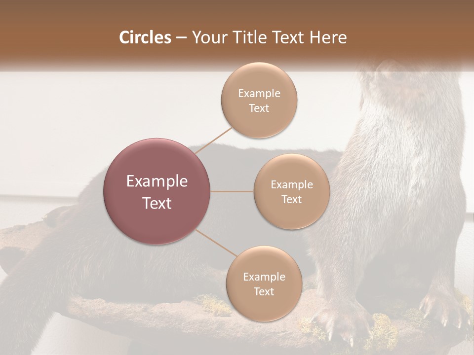 Horek PowerPoint Template