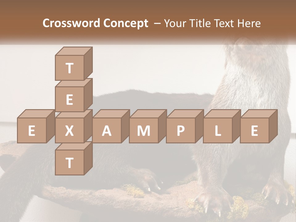 Horek PowerPoint Template