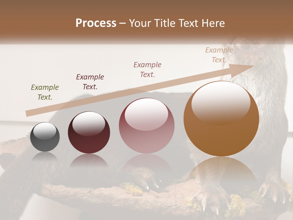 Horek PowerPoint Template