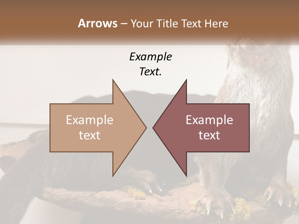 Horek PowerPoint Template