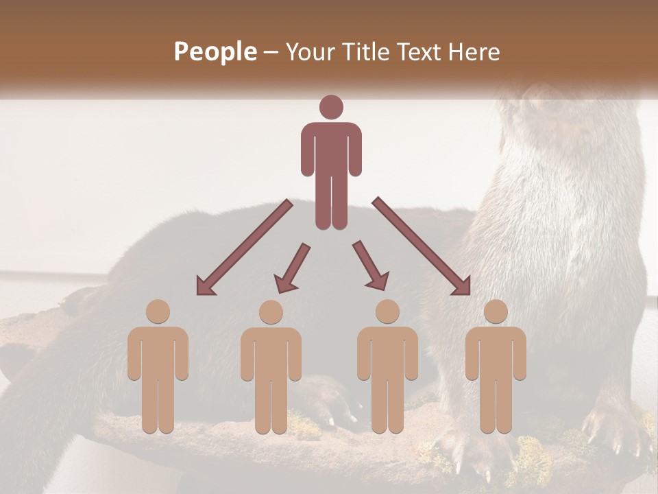 Horek PowerPoint Template