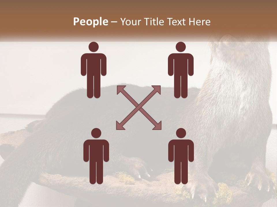 Horek PowerPoint Template