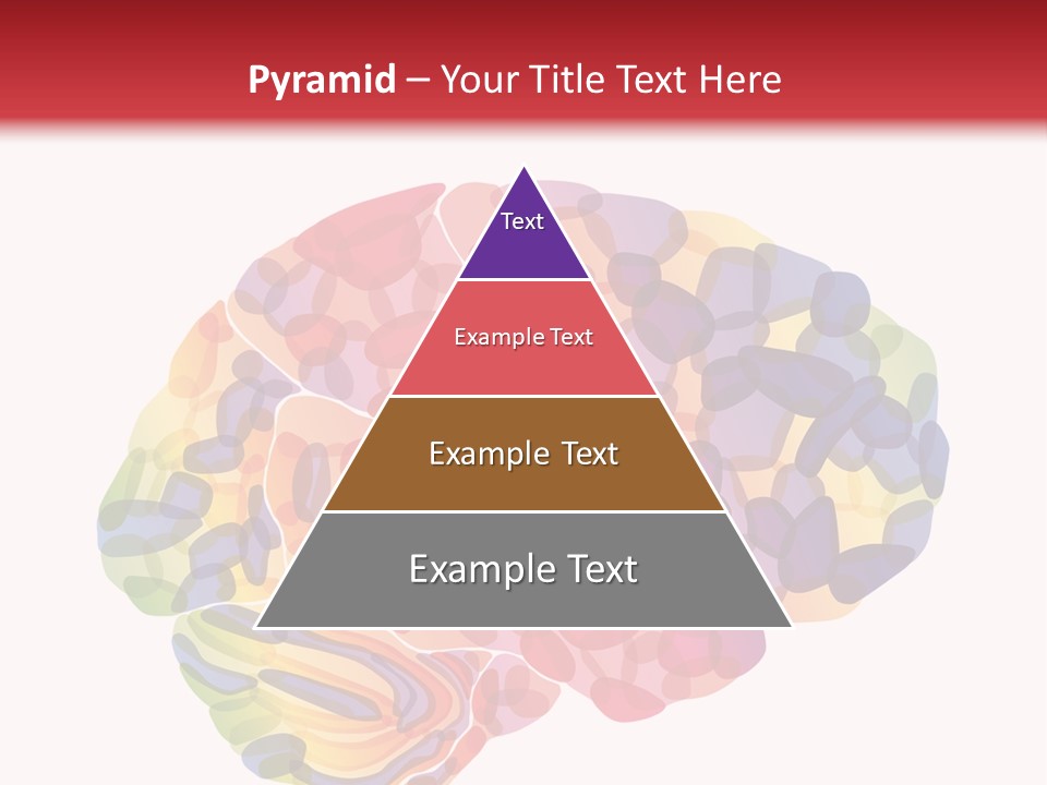 Brain PowerPoint Template