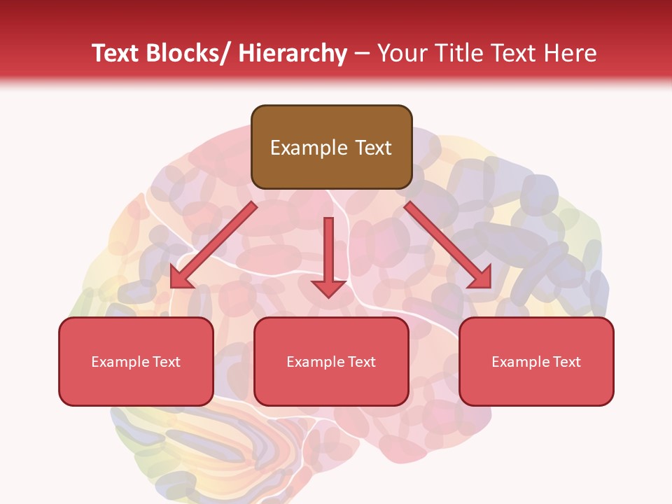 Brain PowerPoint Template