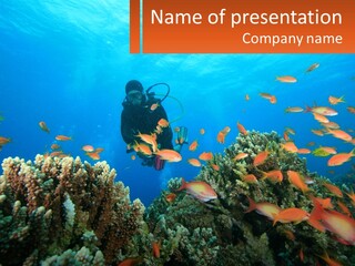 Scuba Diver PowerPoint Template