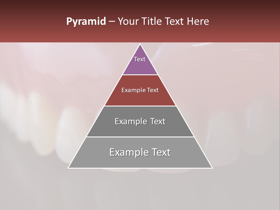 False Jaw PowerPoint Template