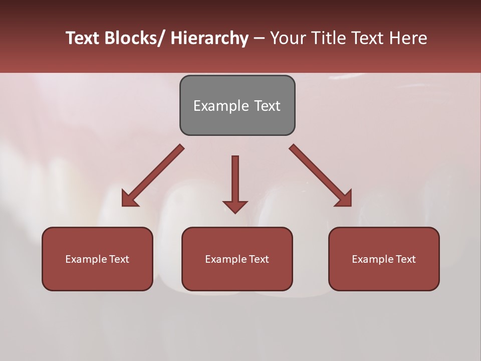 False Jaw PowerPoint Template