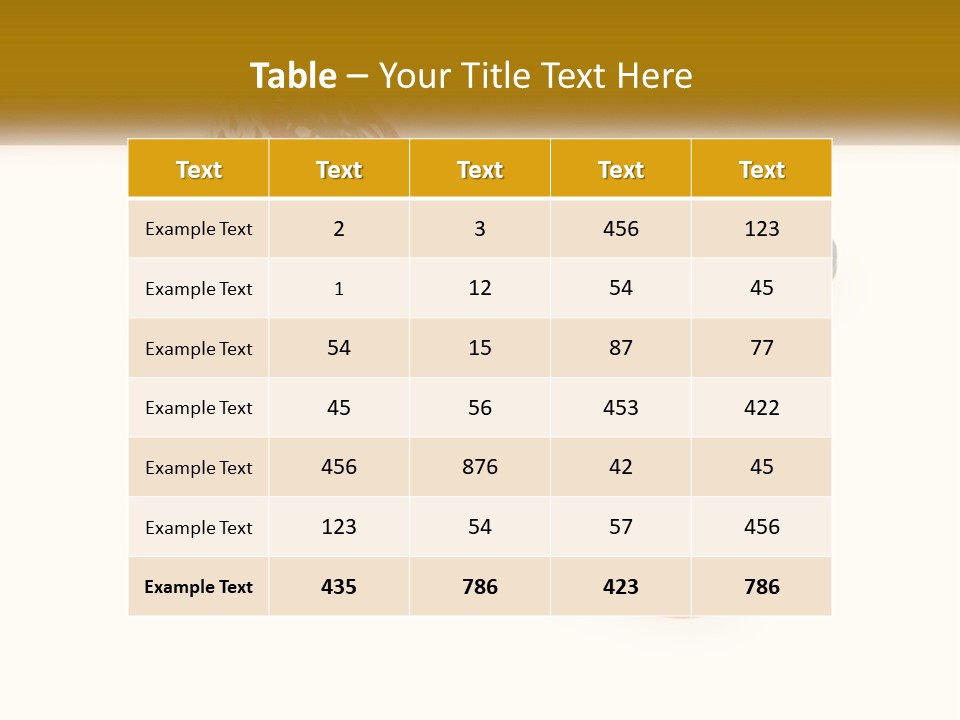 Knitted Slippers PowerPoint Template