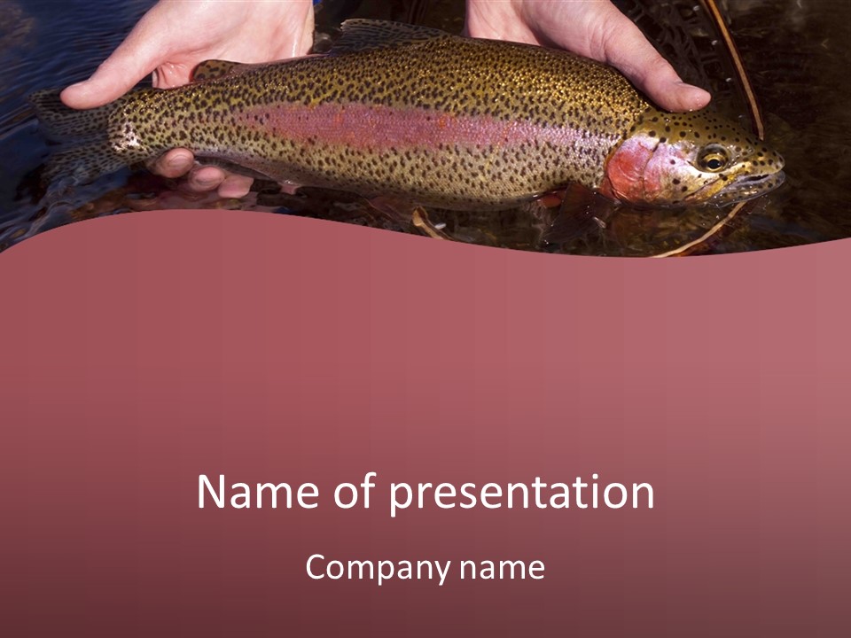 A Fish PowerPoint Template